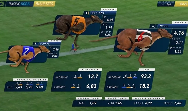 Tuyệt Chiêu Thắng Lớn Với Cách Chơi Game Nhanh Đua Chó Tại M788 Mới Nhất 1 đua chó M788