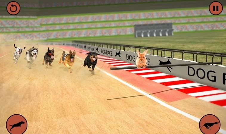 Tuyệt Chiêu Thắng Lớn Với Cách Chơi Game Nhanh Đua Chó Tại M788 Mới Nhất 2 Cách chơi game nhanh đua chó M788