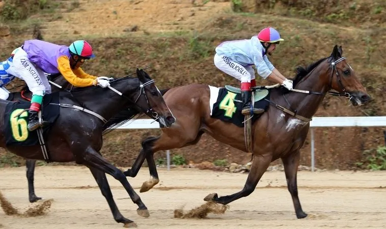 Tuyệt Chiêu Tìm Hiểu Cá Cược Đua Ngựa M788 Dành Cho Người Chơi Mới 1 đua ngựa M788