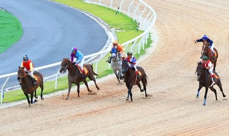 Tuyệt Chiêu Tìm Hiểu Cá Cược Đua Ngựa M788 Dành Cho Người Chơi Mới 2 Cần tìm hiểu kỹ về bộ môn đua ngựa M788 trước khi cá cược